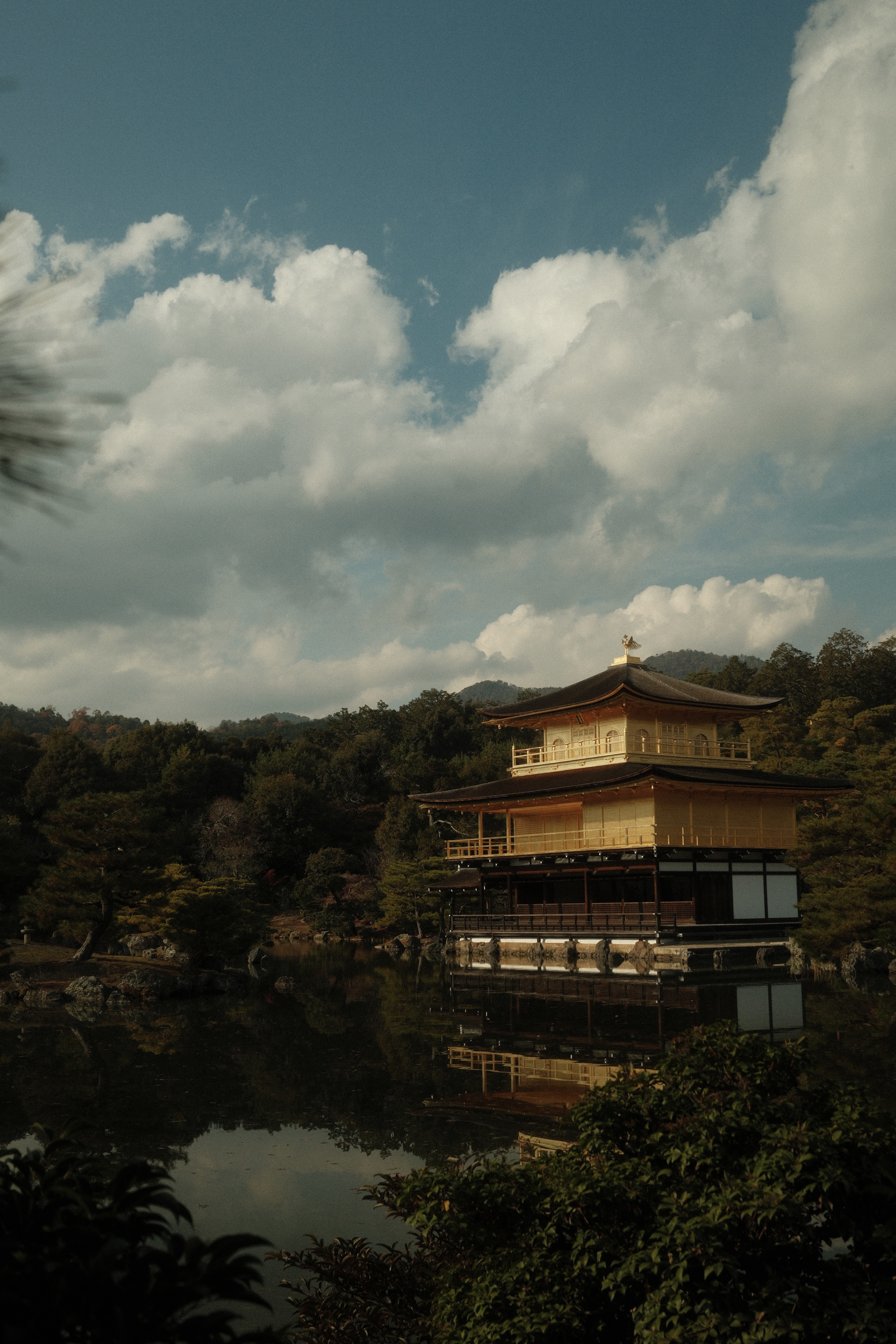 Photography by Jordan Jimenez
